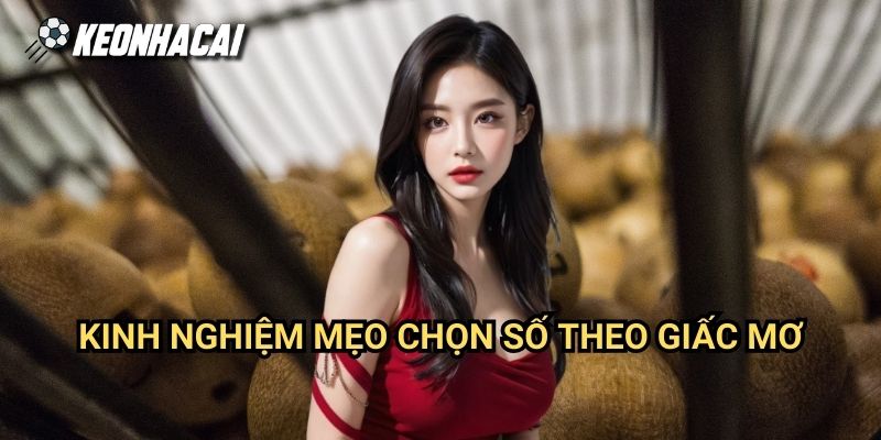 Kinh Nghiệm Mẹo Chọn Số Theo Giấc Mơ Tại Keonhacai